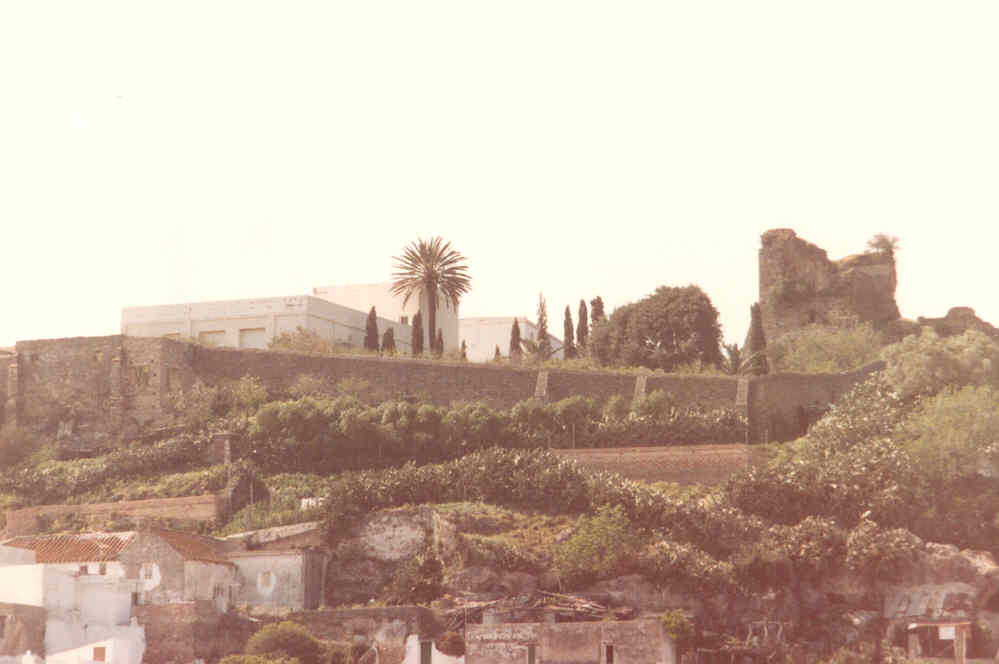 Muralla castillo Alcala de los Gazules